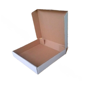 CAIXA SALGADO 35CM - ARTICULADA - C/01