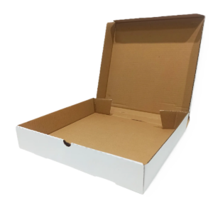 CAIXA SALGADO 30CM - ARTICULADA - C/01