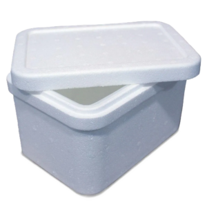 CAIXA TERMICA ISOPOR 02 LTS