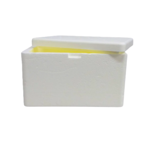 CAIXA TERMICA ISOPOR 05 LTS