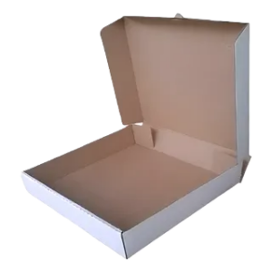 CAIXA SALGADO 25CM - C/01